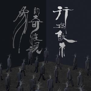 张筱雨最新动态消息
